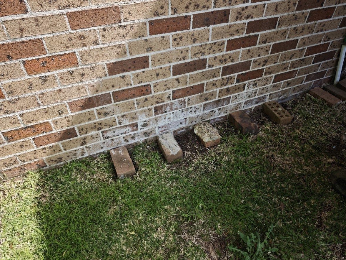 Efflorescence on brickwork, Campsie