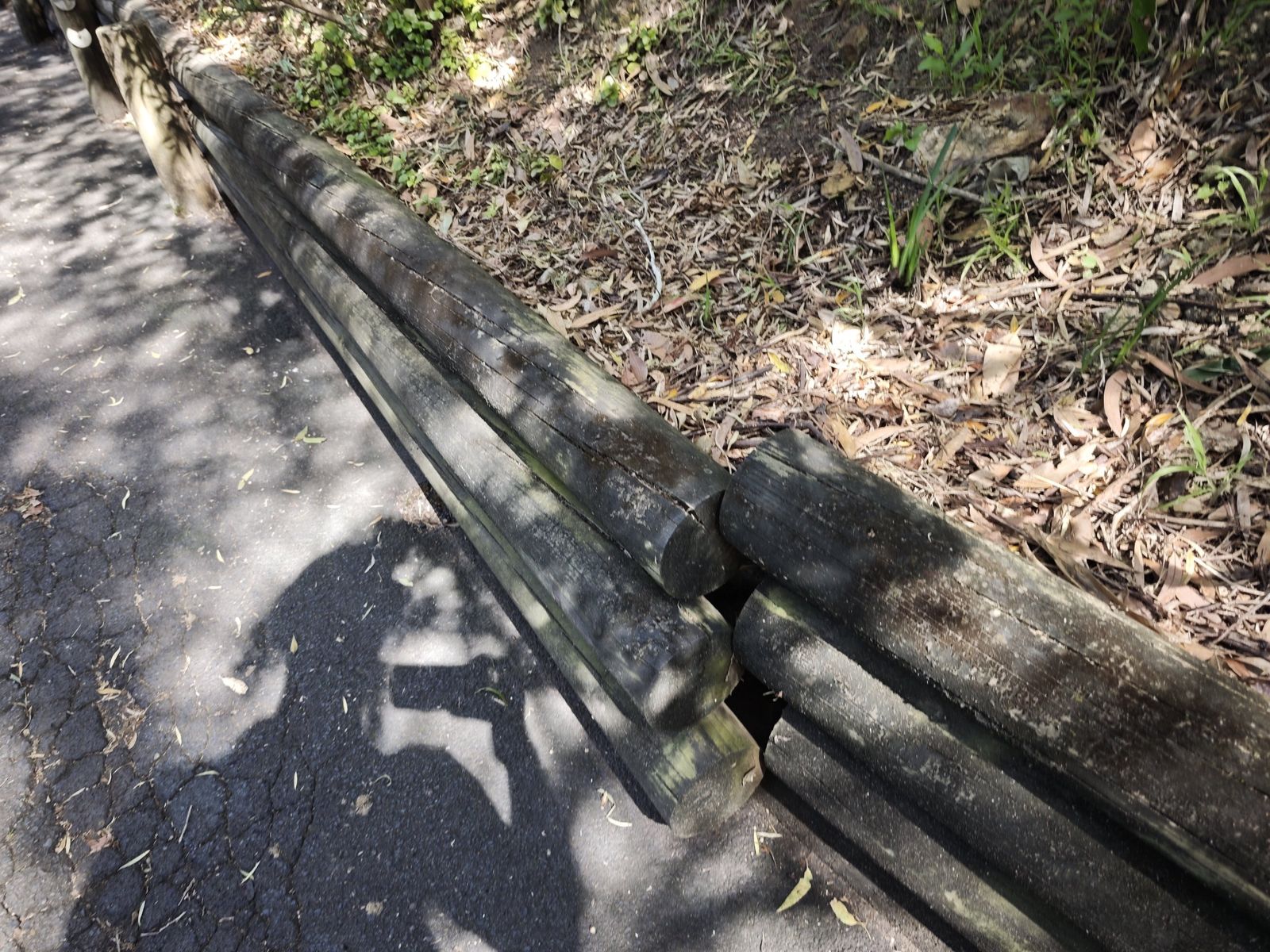 Displaced timber logs in retaining wall, Hunters Hill NSW