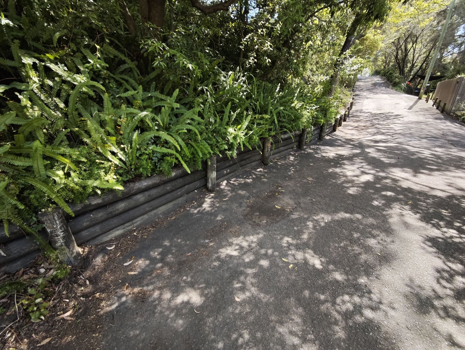 Timber log retaining wall with posts, Hunters Hill NSW