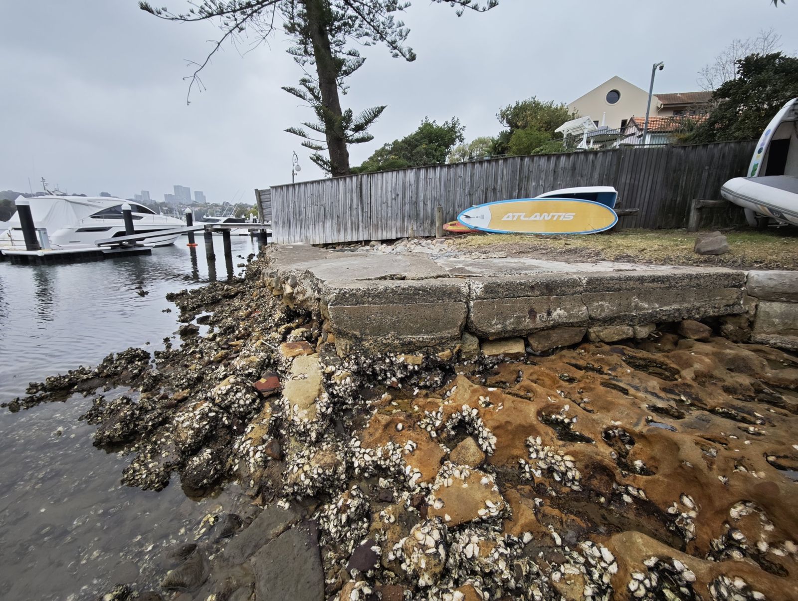Seawall crest and foreshore, Hunters Hill NSW
